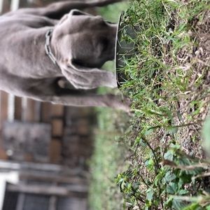 Meet your Posher, Diego (me)